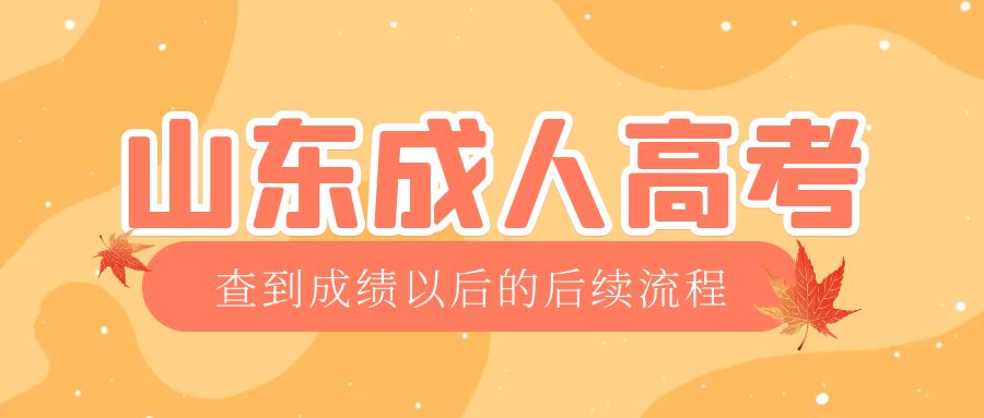 金乡成考查完成绩以后做什么，金乡成考网